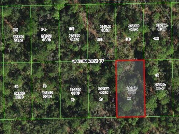 9782 W PLUM ROSE COURT, CRYSTAL RIVER, FL 34429