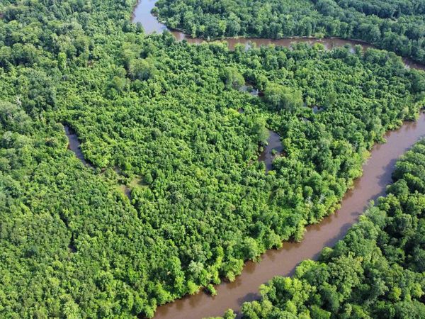 850 Vince Bluff Road, New Edinburg, AR 71660