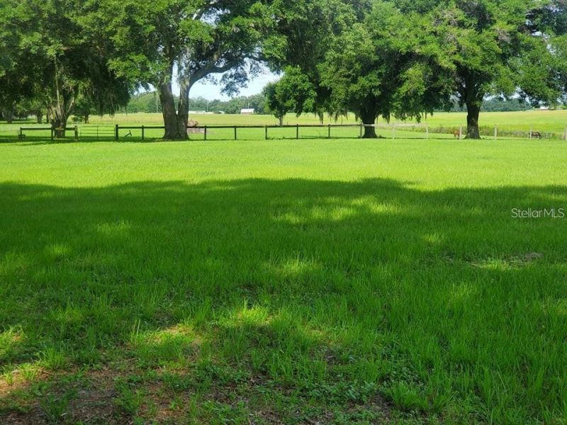 17670 SE 283rd Avenue, Umatilla, FL 32784 Photo