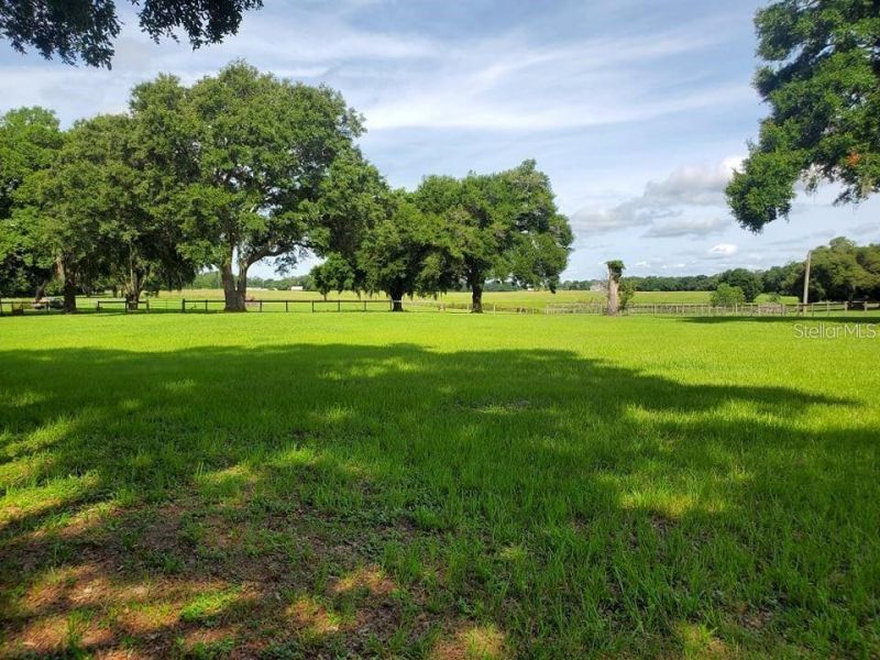 17670 SE 283rd Avenue, Umatilla, FL 32784 Photo