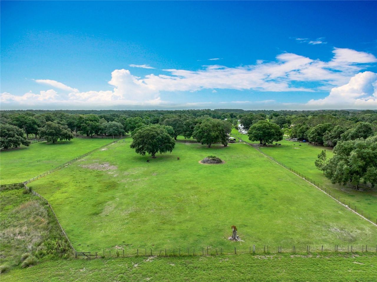 17670 SE 283rd Avenue, Umatilla, FL 32784 Photo