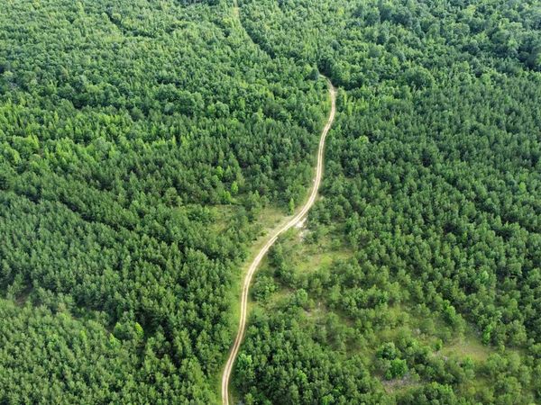 3400 US-278 Highway, Wilmar, AR 71675