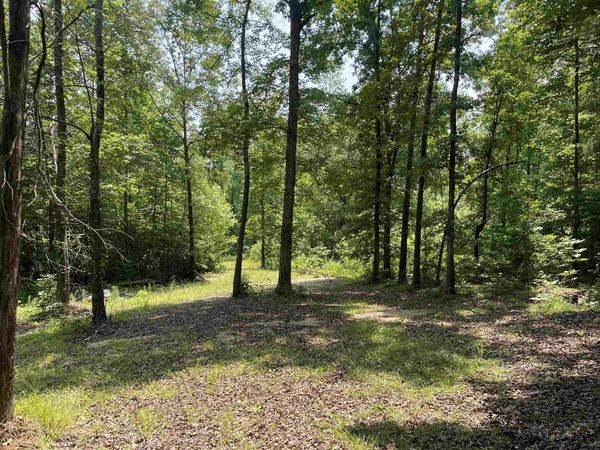 2460 421 HWY, Sardis, TN 38371