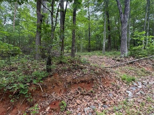 0 Nimblewill Creek Road, Dahlonega, GA 30533