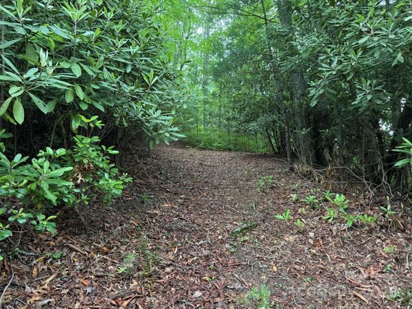 TBD Blueberry Trail, Lake Toxaway, NC 28747