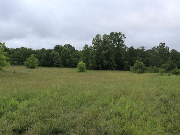 TBD Hwy 9 S, Salem, AR 72576