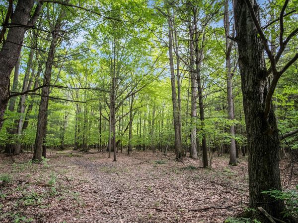 V/L 11737 Ellis Road, Ravenna, MI 49451