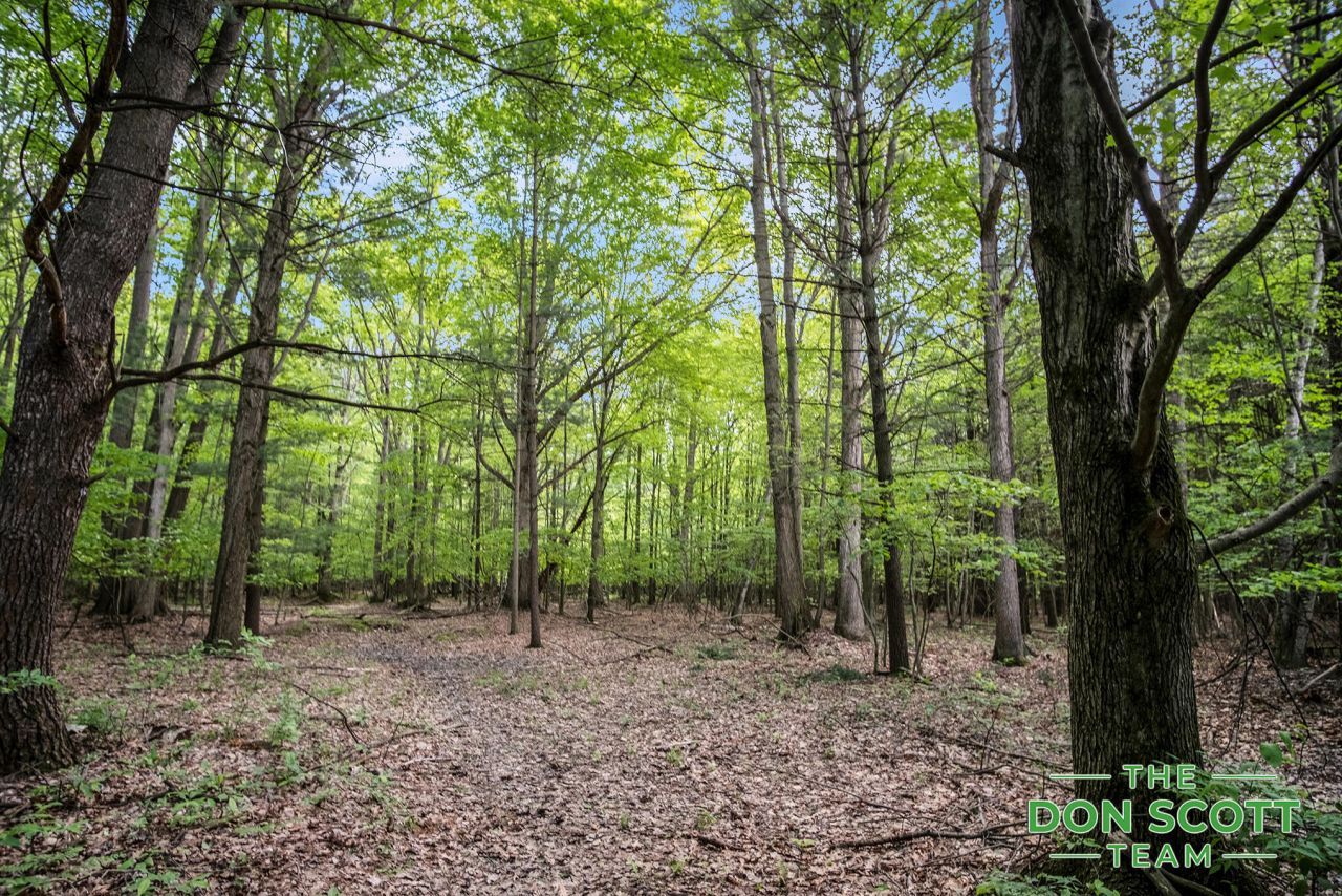 V/l 11737 Ellis Road, Ravenna, MI 49451 Main Photo