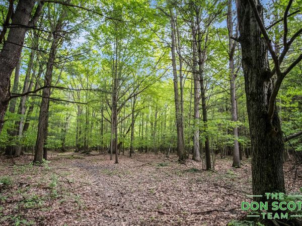 V/L 11737 Ellis Road, Ravenna, MI 49451