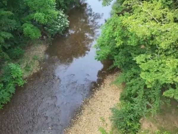 117 Willowbrook Dr, Florence, AL