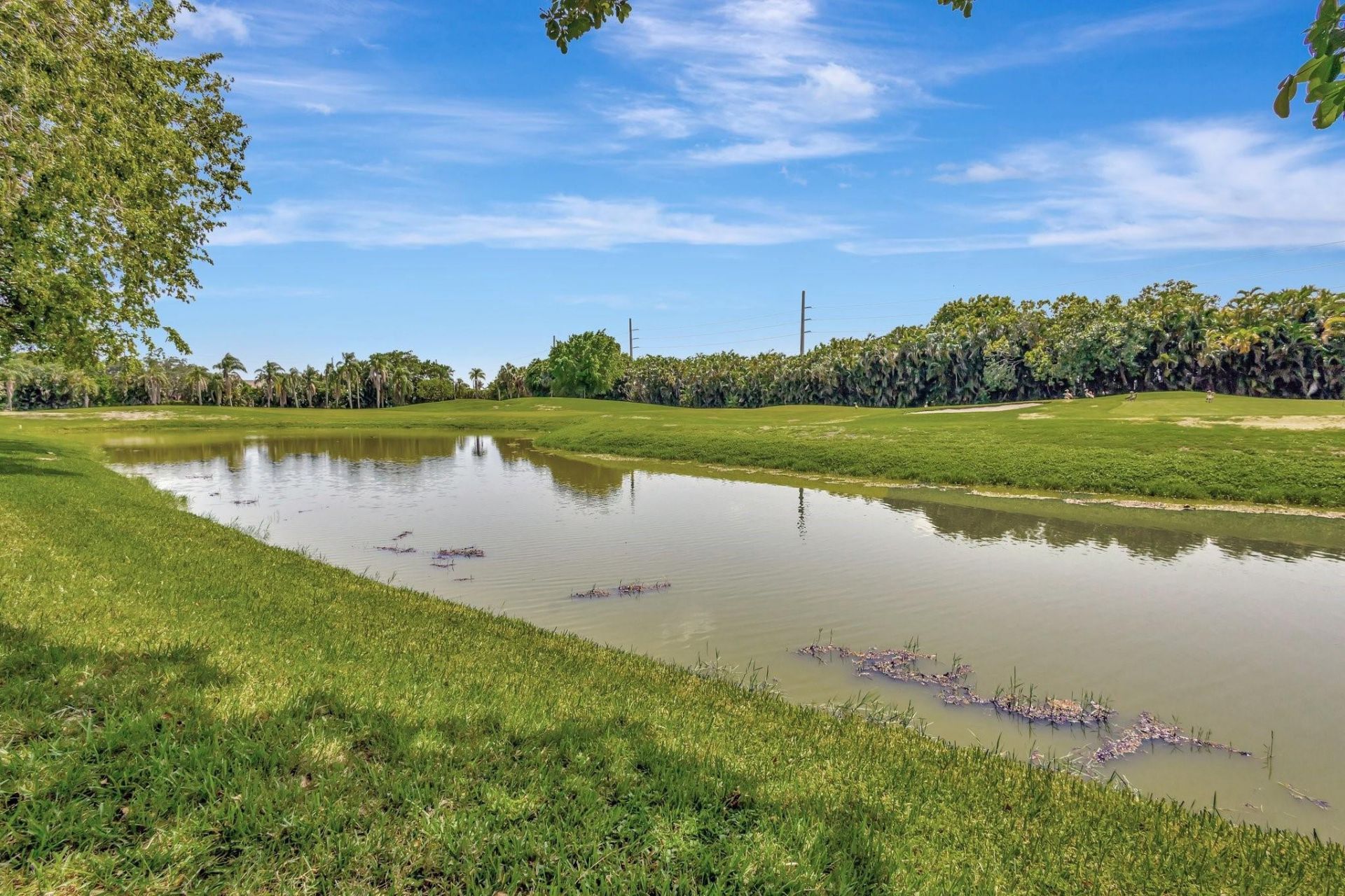 11917 Fountainside Circle, Boynton Beach, FL 33437 Photo