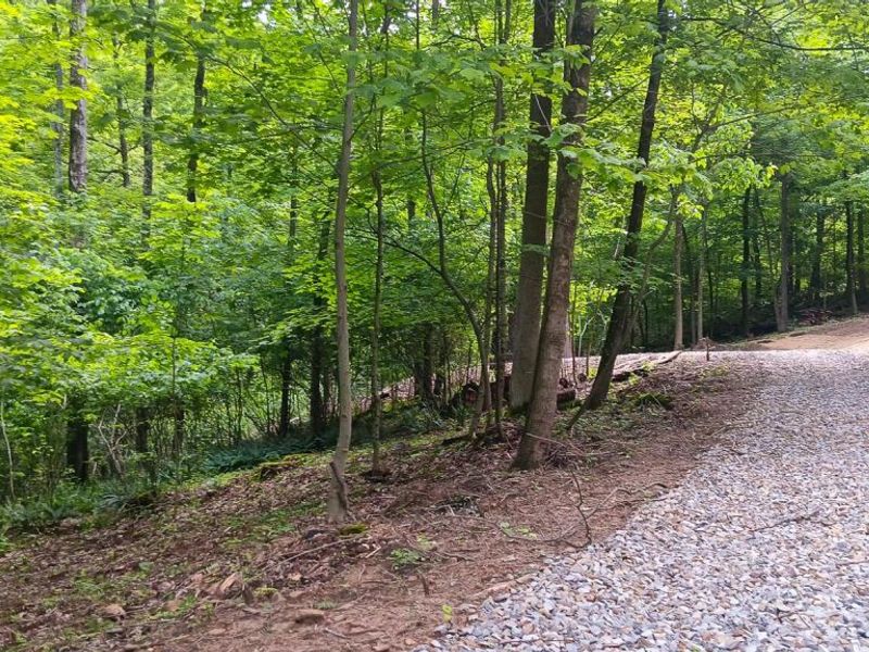 0 Mulberry Street NE, Unit (Lot N Woo, Newark, OH 43055 Photo 10