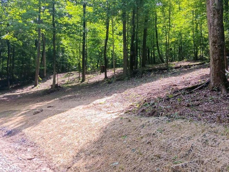 0 Mulberry Street NE, Unit (Lot N Woo, Newark, OH 43055 Photo 12