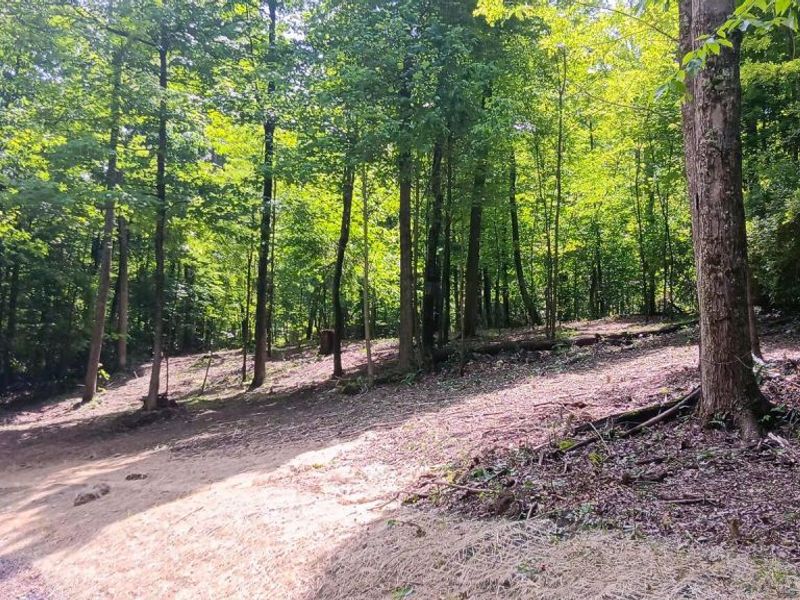 0 Mulberry Street NE, Unit (Lot N Woo, Newark, OH 43055 Photo 13