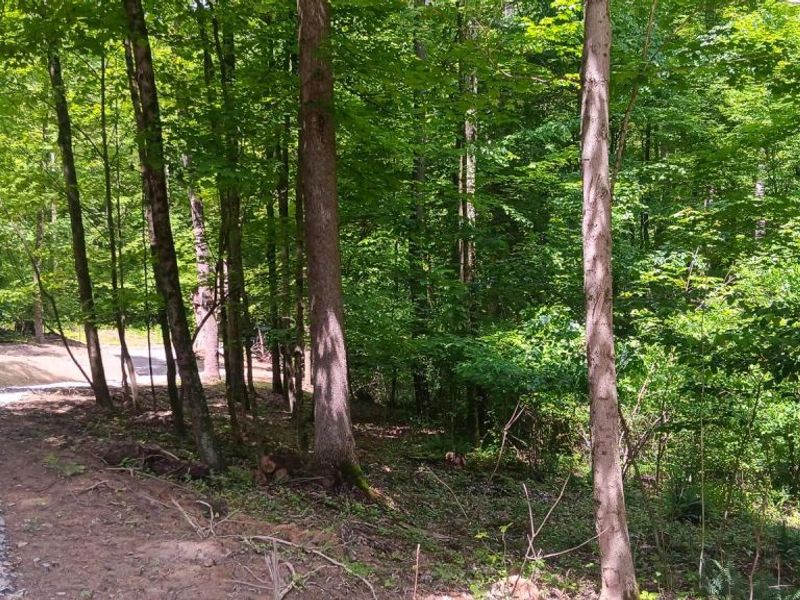 0 Mulberry Street NE, Unit (Lot N Woo, Newark, OH 43055 Photo 15