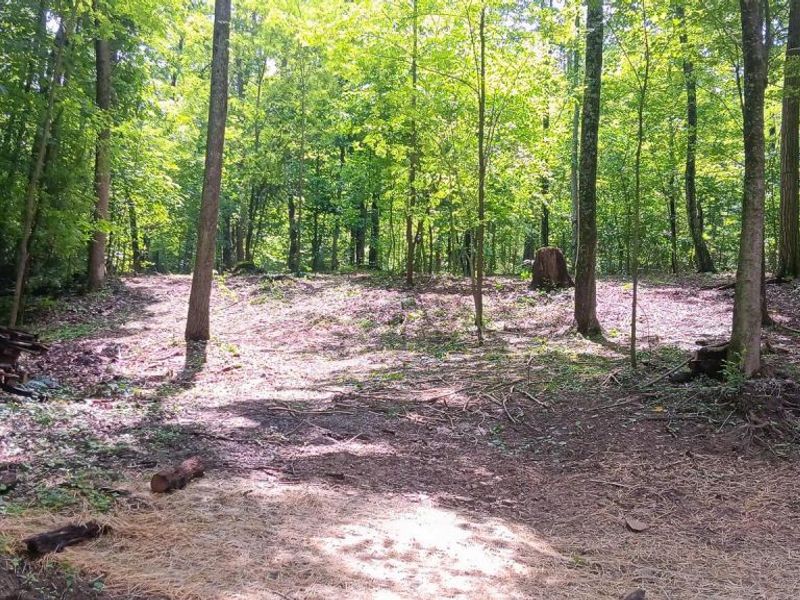 0 Mulberry Street NE, Unit (Lot N Woo, Newark, OH 43055 Photo 16