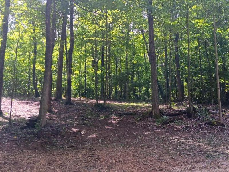 0 Mulberry Street NE, Unit (Lot N Woo, Newark, OH 43055 Photo 17