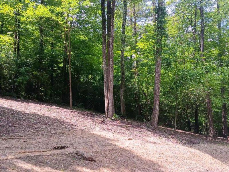 0 Mulberry Street NE, Unit (Lot N Woo, Newark, OH 43055 Photo 18