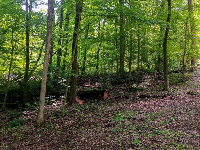 0 Mulberry Street NE, Unit (Lot N Woo, Newark, OH 43055 Photo 20