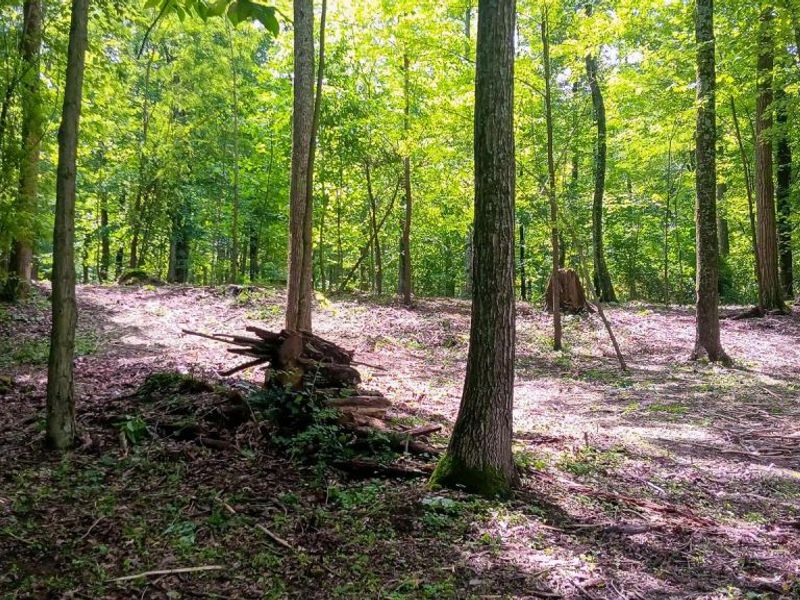 0 Mulberry Street NE, Unit (Lot N Woo, Newark, OH 43055 Photo 21