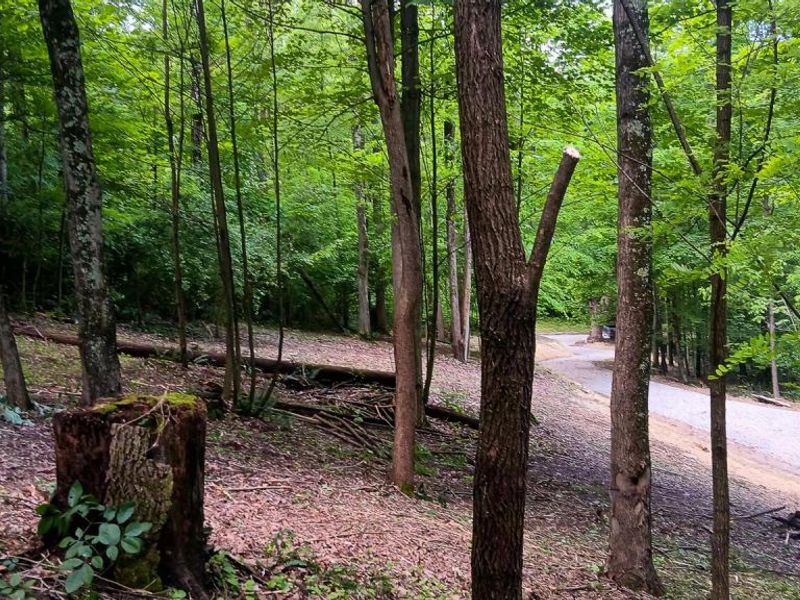 0 Mulberry Street NE, Unit (Lot N Woo, Newark, OH 43055 Photo 23