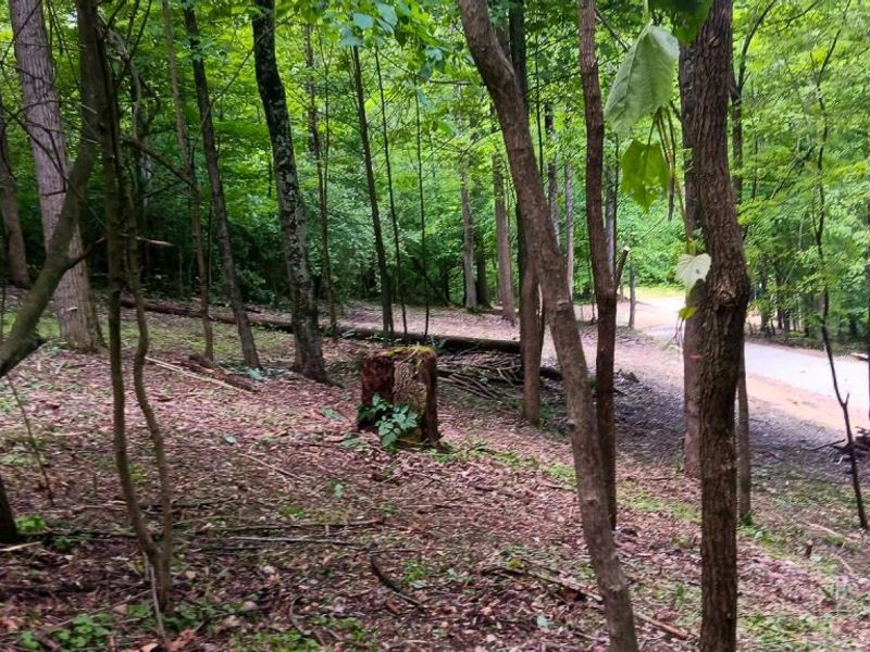 0 Mulberry Street NE, Unit (Lot N Woo, Newark, OH 43055 Photo 27