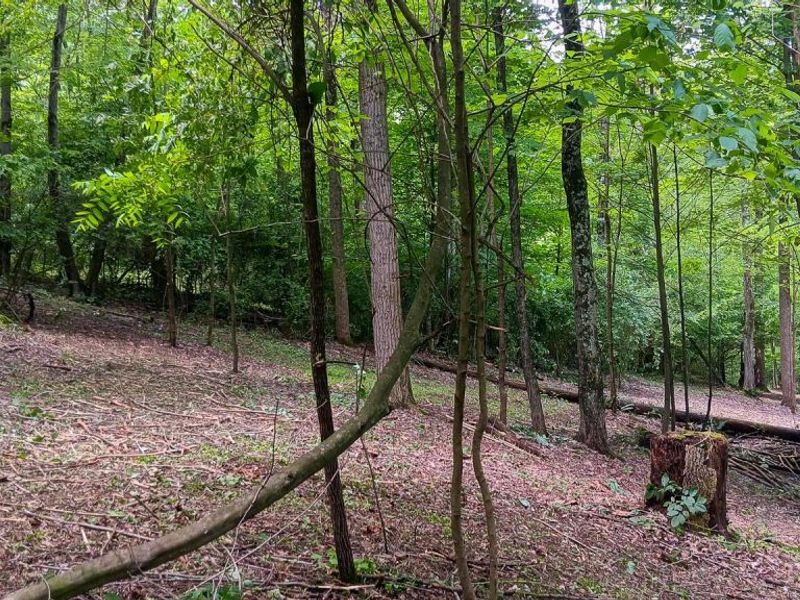 0 Mulberry Street NE, Unit (Lot N Woo, Newark, OH 43055 Photo 28