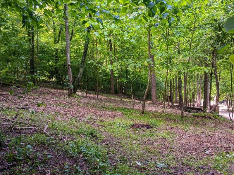 0 Mulberry Street NE, Unit (Lot N Woo, Newark, OH 43055 Photo 30