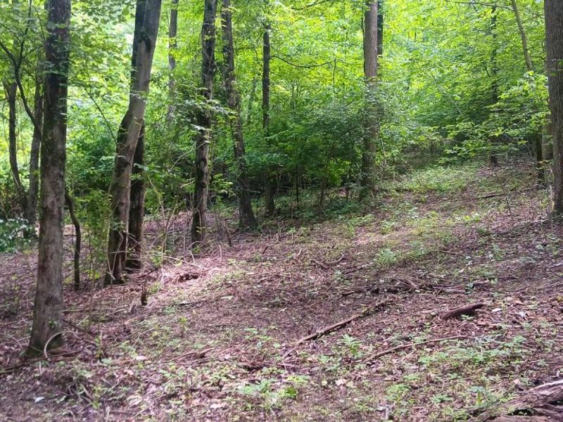 0 Mulberry Street NE, Unit (Lot N Woo, Newark, OH 43055 Photo 31