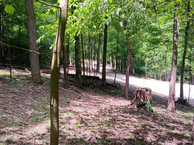 0 Mulberry Street NE, Unit (Lot N Woo, Newark, OH 43055 Photo 33