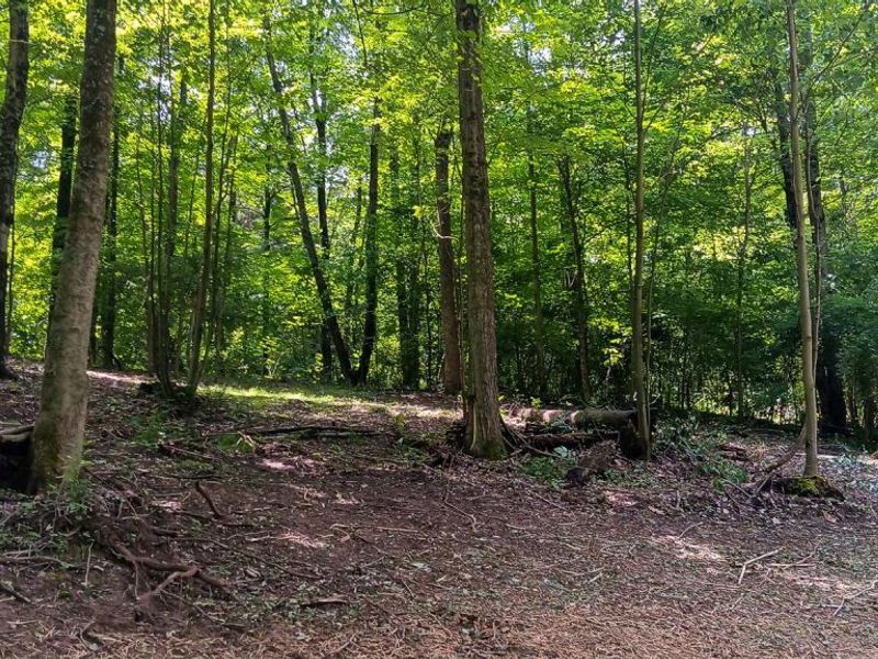 0 Mulberry Street NE, Unit (Lot N Woo, Newark, OH 43055 Photo 36