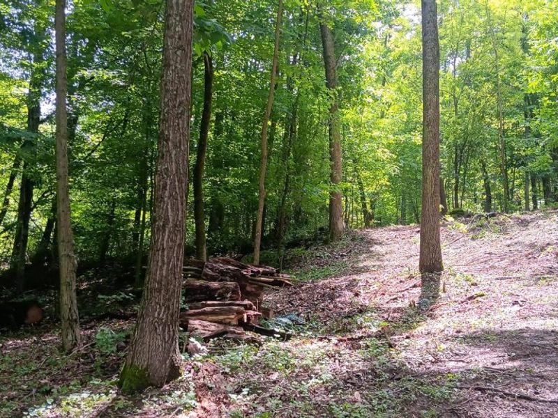 0 Mulberry Street NE, Unit (Lot N Woo, Newark, OH 43055 Photo 37