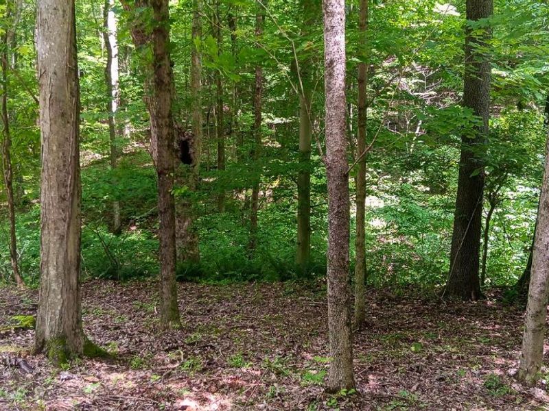 0 Mulberry Street NE, Unit (Lot N Woo, Newark, OH 43055 Photo 38