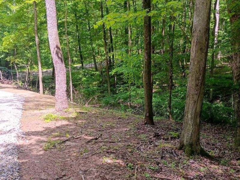 0 Mulberry Street NE, Unit (Lot N Woo, Newark, OH 43055 Photo 39