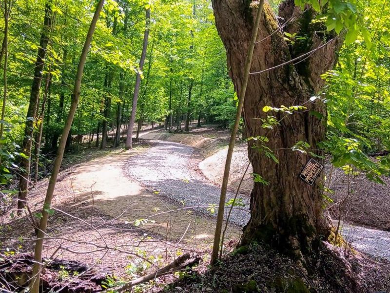 0 Mulberry Street NE, Unit (Lot N Woo, Newark, OH 43055 Photo 40