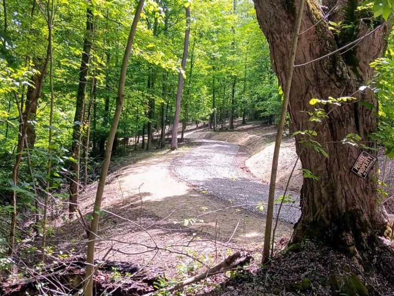 0 Mulberry Street NE, Unit (Lot N Woo, Newark, OH 43055 Photo 41