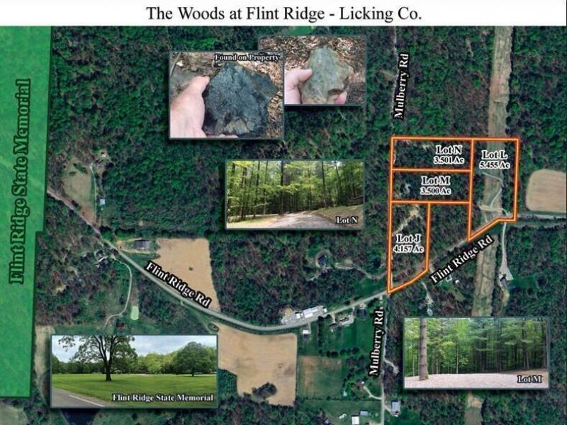 0 Mulberry Street NE, Unit (Lot N Woo, Newark, OH 43055 Photo 43