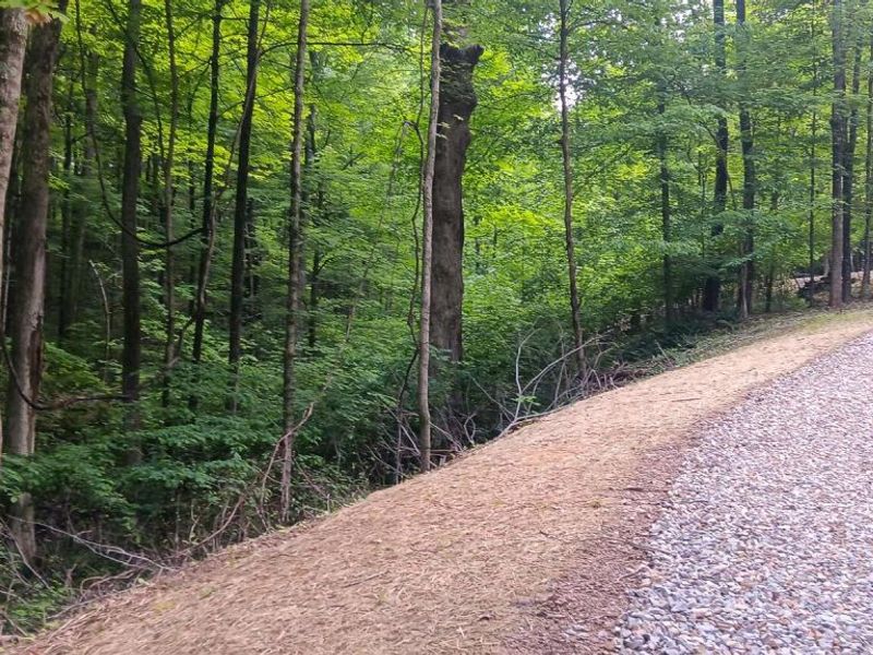 0 Mulberry Street NE, Unit (Lot N Woo, Newark, OH 43055 Photo 7