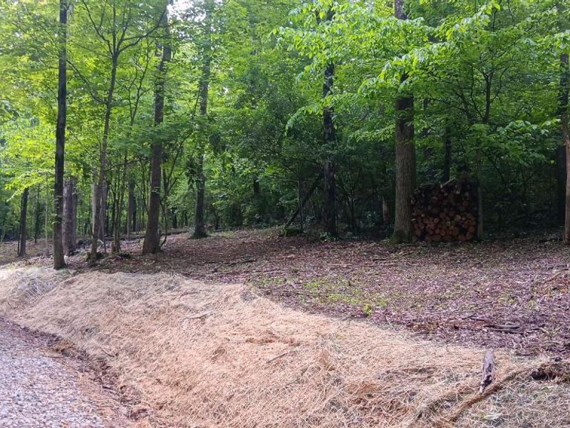 0 Mulberry Street NE, Unit (Lot N Woo, Newark, OH 43055 Photo 9