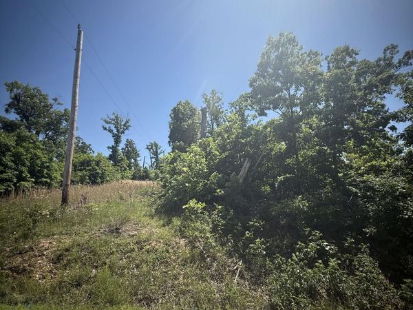 000 Stanton Road , Richland, MO 65556