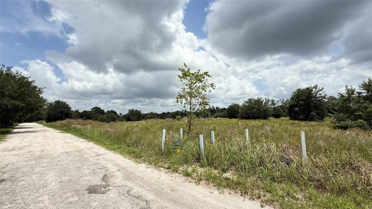 29824 Wells Roads, Wesley Chapel, FL 33545 Photo