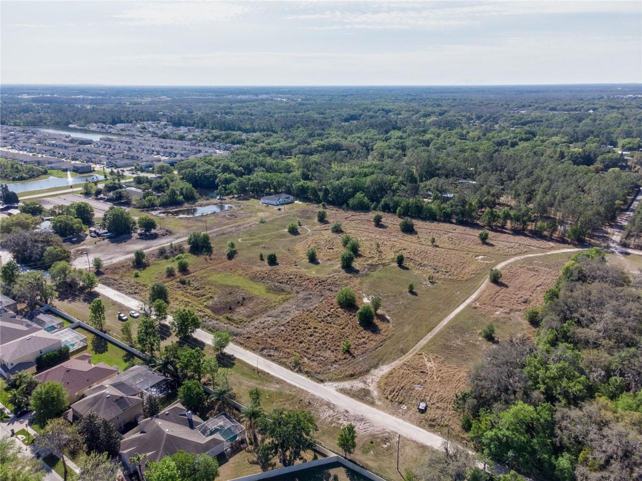 29824 Wells Roads, Wesley Chapel, FL 33545 Photo