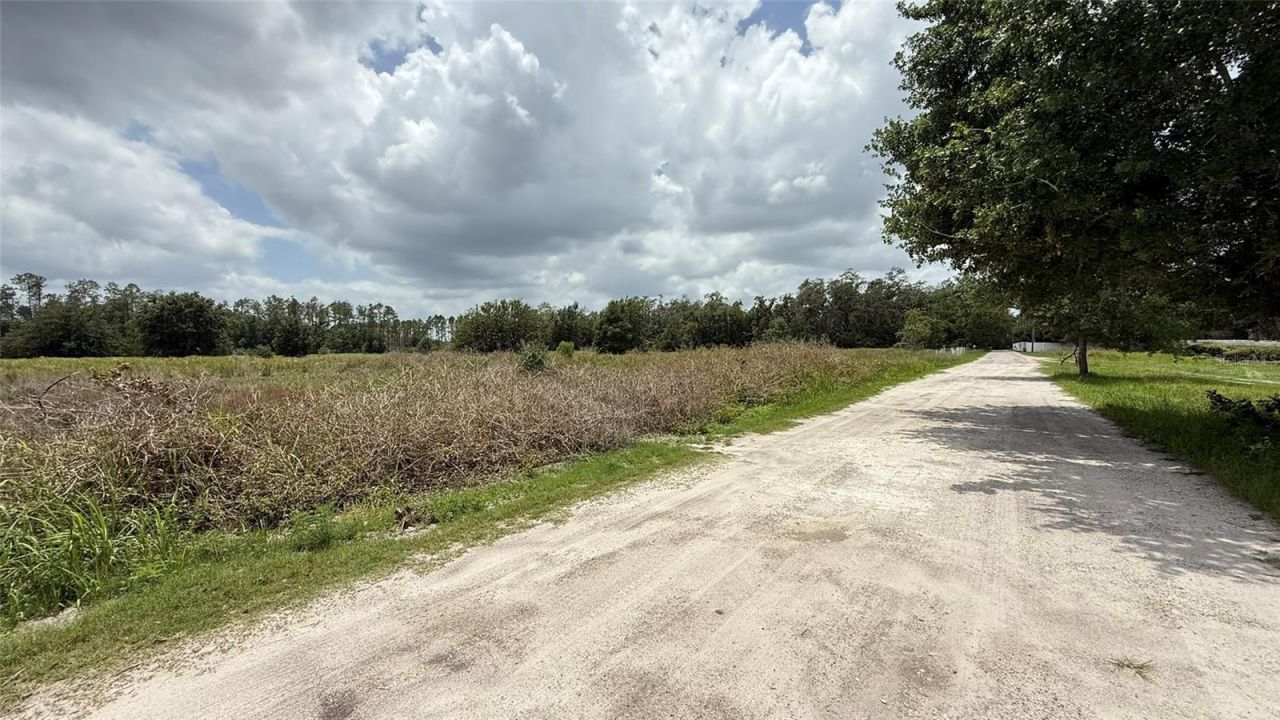 29824 Wells Roads, Wesley Chapel, FL 33545 Photo
