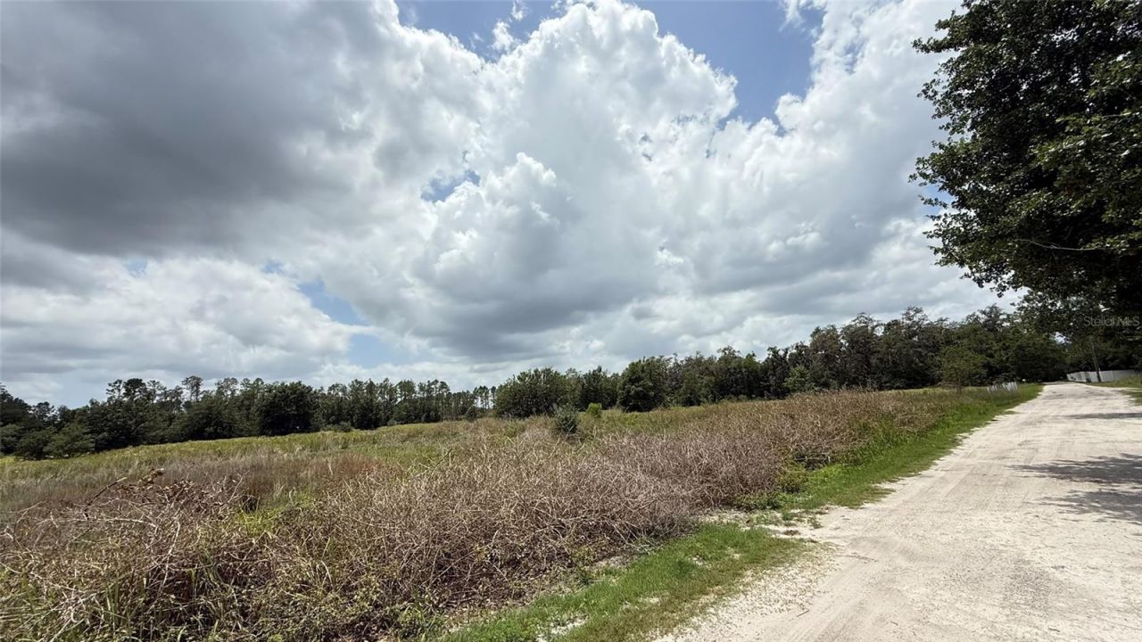 29824 Wells Roads, Wesley Chapel, FL 33545 Photo