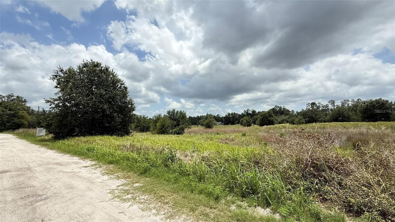 29824 Wells Roads, Wesley Chapel, FL 33545 Photo