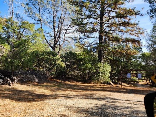 7949 Marie Lane, Rackerby, CA 95972