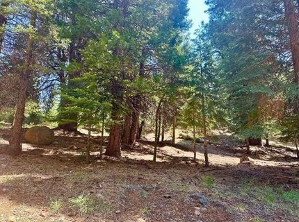 268 Osprey Loop, Lake Almanor, CA 96020 Photo
