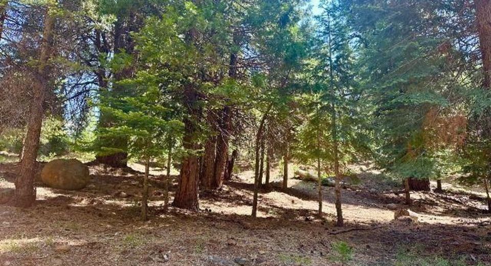 268 Osprey Loop, Lake Almanor, CA 96020 Photo