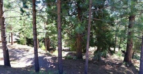 268 Osprey Loop, Lake Almanor, CA 96020 Photo