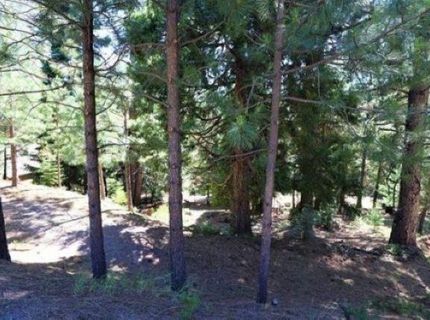 268 Osprey Loop, Lake Almanor, CA 96020 Photo